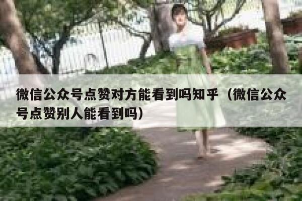 微信公众号点赞对方能看到吗知乎（微信公众号点赞别人能看到吗） 第1张