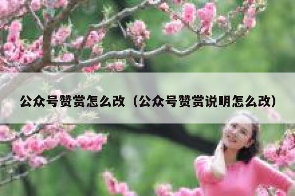 公众号赞赏怎么改（公众号赞赏说明怎么改） 第1张