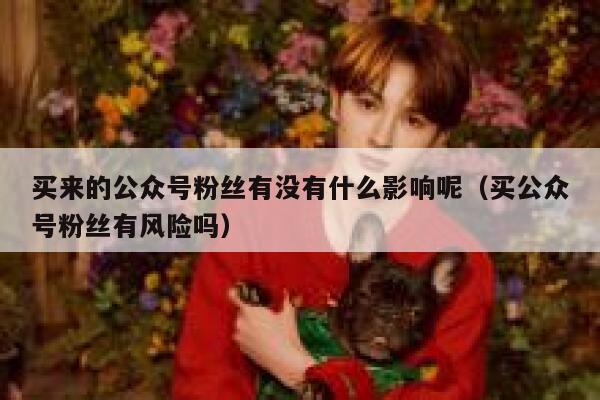 买来的公众号粉丝有没有什么影响呢（买公众号粉丝有风险吗） 第1张