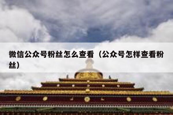 微信公众号粉丝怎么查看（公众号怎样查看粉丝） 第1张