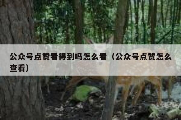 公众号点赞看得到吗怎么看（公众号点赞怎么查看） 第1张