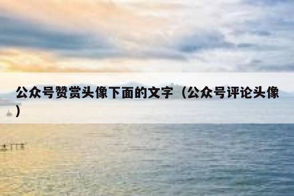 公众号赞赏头像下面的文字（公众号评论头像） 第1张
