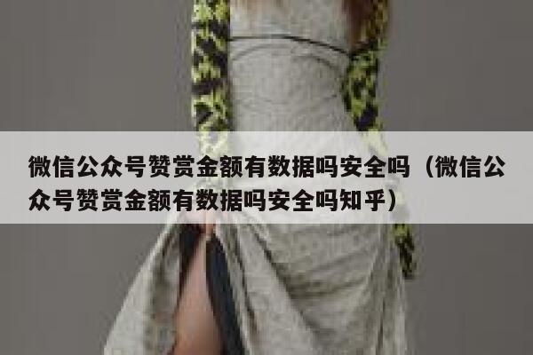 微信公众号赞赏金额有数据吗安全吗（微信公众号赞赏金额有数据吗安全吗知乎） 第1张