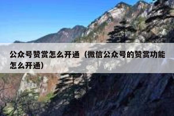 公众号赞赏怎么开通（微信公众号的赞赏功能怎么开通） 第1张