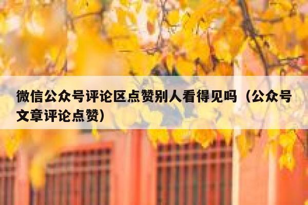微信公众号评论区点赞别人看得见吗（公众号文章评论点赞） 第1张