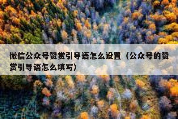微信公众号赞赏引导语怎么设置（公众号的赞赏引导语怎么填写） 第1张