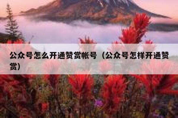 公众号怎么开通赞赏帐号（公众号怎样开通赞赏） 第1张
