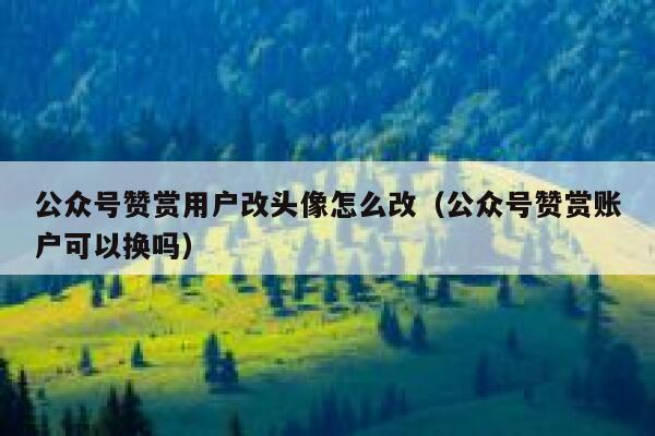 公众号赞赏用户改头像怎么改（公众号赞赏账户可以换吗） 第1张