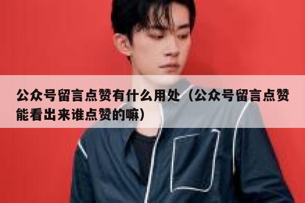 公众号留言点赞有什么用处（公众号留言点赞能看出来谁点赞的嘛） 第1张