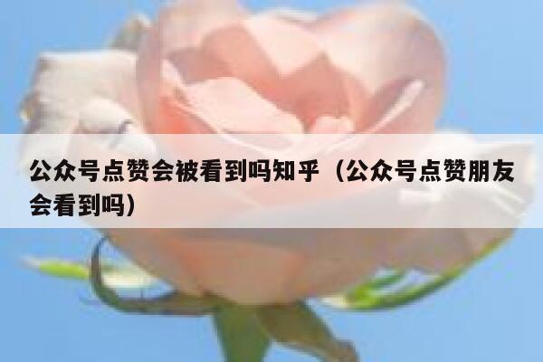 公众号点赞会被看到吗知乎（公众号点赞朋友会看到吗） 第1张
