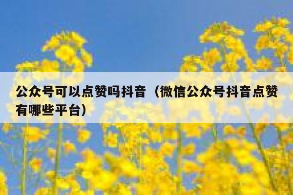 公众号可以点赞吗抖音（微信公众号抖音点赞有哪些平台） 第1张