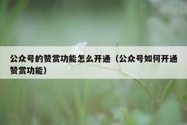 公众号的赞赏功能怎么开通（公众号如何开通赞赏功能） 第1张