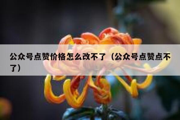 公众号点赞价格怎么改不了（公众号点赞点不了） 第1张