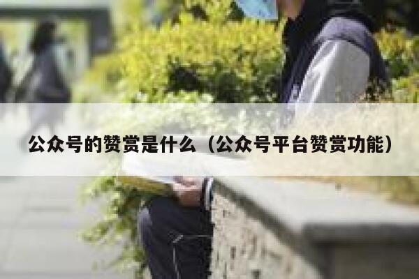 公众号的赞赏是什么（公众号平台赞赏功能） 第1张