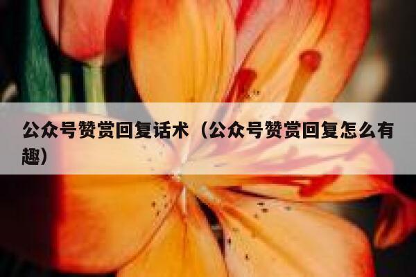 公众号赞赏回复话术（公众号赞赏回复怎么有趣） 第1张