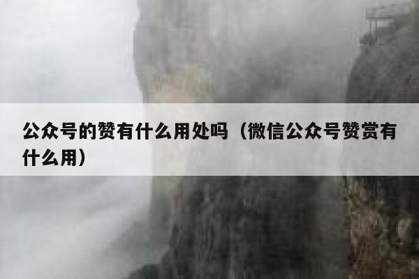 公众号的赞有什么用处吗（微信公众号赞赏有什么用） 第1张