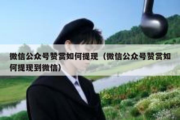 微信公众号赞赏如何提现（微信公众号赞赏如何提现到微信） 第1张