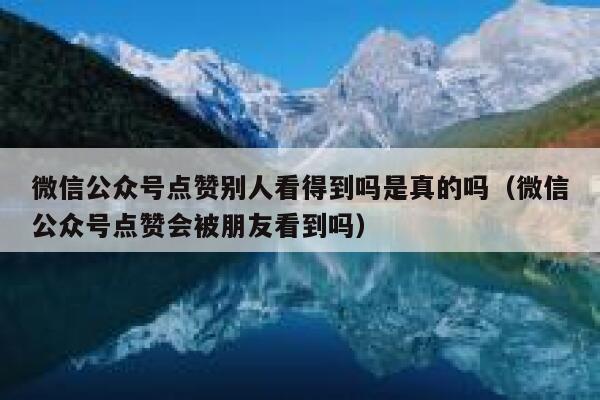 微信公众号点赞别人看得到吗是真的吗（微信公众号点赞会被朋友看到吗） 第1张