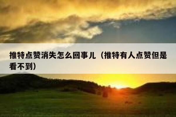 推特点赞消失怎么回事儿（推特有人点赞但是看不到） 第1张