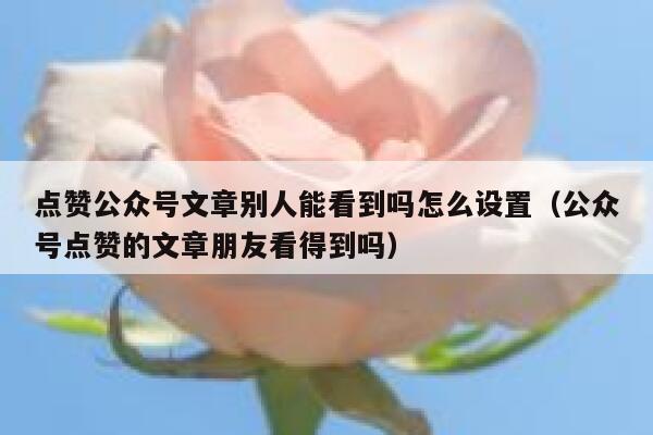 点赞公众号文章别人能看到吗怎么设置（公众号点赞的文章朋友看得到吗） 第1张