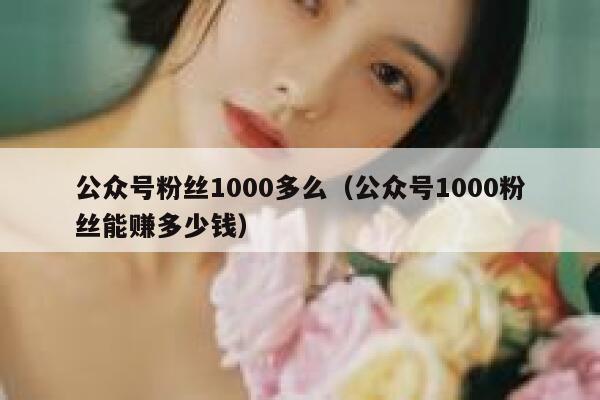 公众号粉丝1000多么（公众号1000粉丝能赚多少钱） 第1张