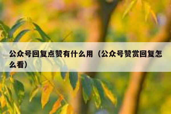 公众号回复点赞有什么用（公众号赞赏回复怎么看） 第1张