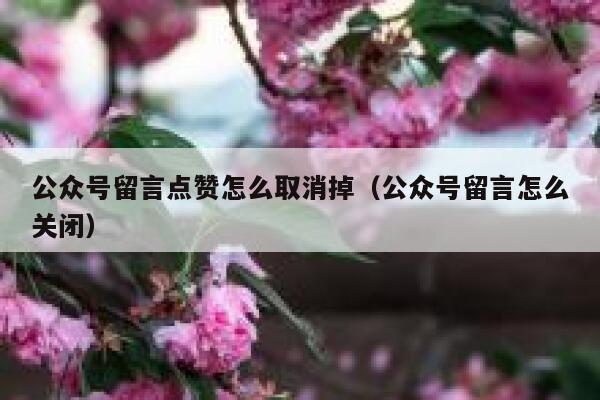 公众号留言点赞怎么取消掉（公众号留言怎么关闭） 第1张