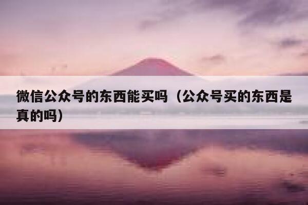 微信公众号的东西能买吗（公众号买的东西是真的吗） 第1张