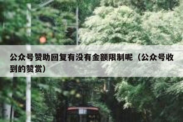 公众号赞助回复有没有金额限制呢（公众号收到的赞赏） 第1张