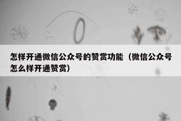 怎样开通微信公众号的赞赏功能（微信公众号怎么样开通赞赏） 第1张