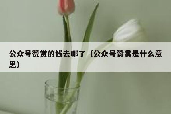 公众号赞赏的钱去哪了（公众号赞赏是什么意思） 第1张