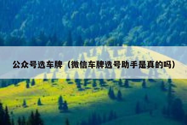 公众号选车牌（微信车牌选号助手是真的吗） 第1张