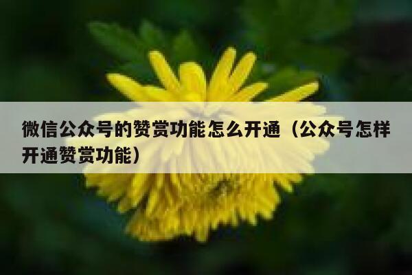 微信公众号的赞赏功能怎么开通（公众号怎样开通赞赏功能） 第1张