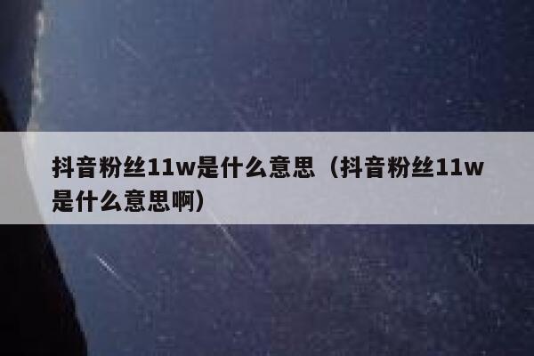 抖音粉丝11w是什么意思（抖音粉丝11w是什么意思啊） 第1张
