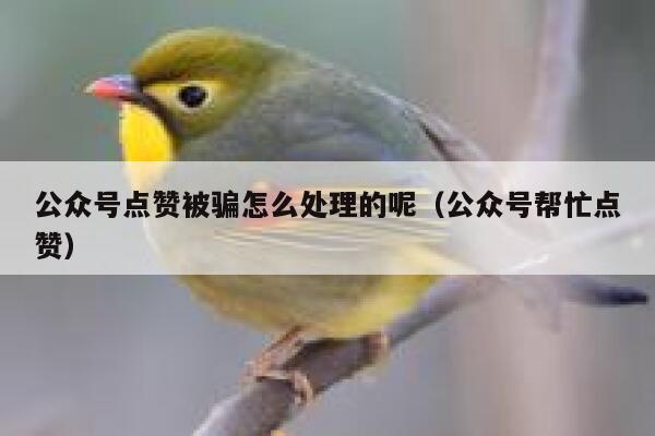 公众号点赞被骗怎么处理的呢（公众号帮忙点赞） 第1张