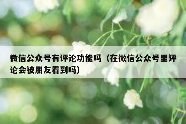 微信公众号有评论功能吗（在微信公众号里评论会被朋友看到吗） 第1张