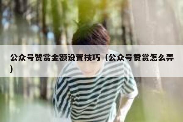 公众号赞赏金额设置技巧（公众号赞赏怎么弄） 第1张