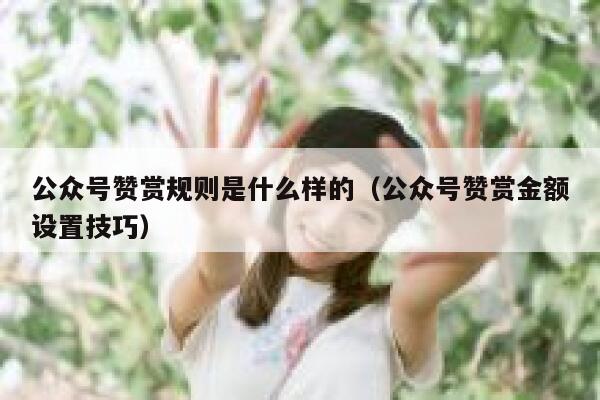 公众号赞赏规则是什么样的（公众号赞赏金额设置技巧） 第1张
