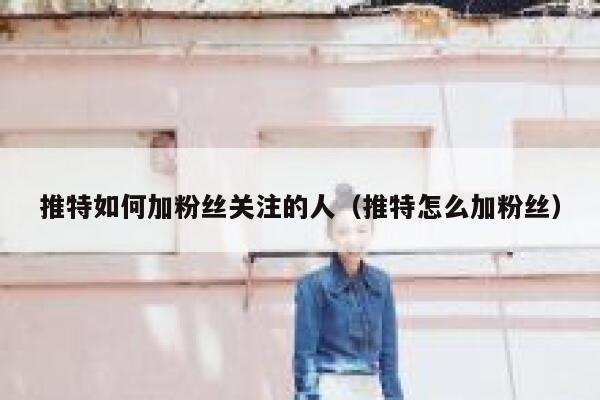 推特如何加粉丝关注的人（推特怎么加粉丝） 第1张