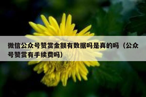 微信公众号赞赏金额有数据吗是真的吗（公众号赞赏有手续费吗） 第1张