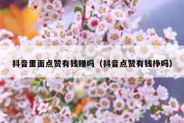 抖音里面点赞有钱赚吗（抖音点赞有钱挣吗） 第1张