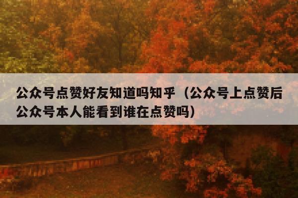 公众号点赞好友知道吗知乎（公众号上点赞后公众号本人能看到谁在点赞吗） 第1张