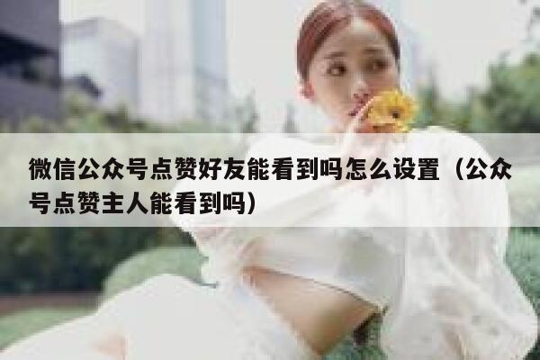 微信公众号点赞好友能看到吗怎么设置（公众号点赞主人能看到吗） 第1张