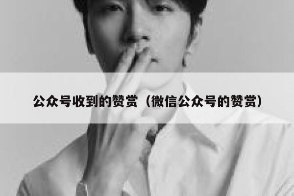公众号收到的赞赏（微信公众号的赞赏） 第1张
