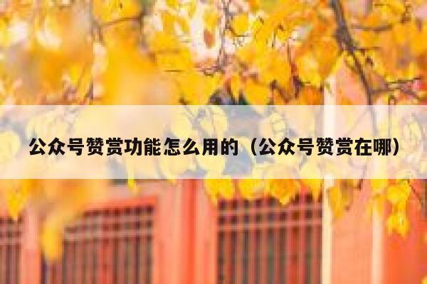 公众号赞赏功能怎么用的（公众号赞赏在哪） 第1张