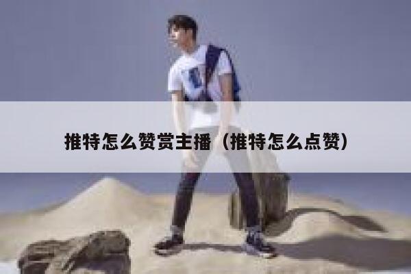 推特怎么赞赏主播（推特怎么点赞） 第1张