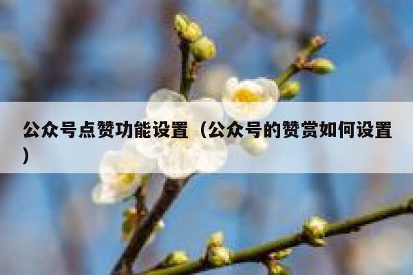 公众号点赞功能设置（公众号的赞赏如何设置） 第1张