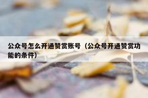 公众号怎么开通赞赏账号（公众号开通赞赏功能的条件） 第1张