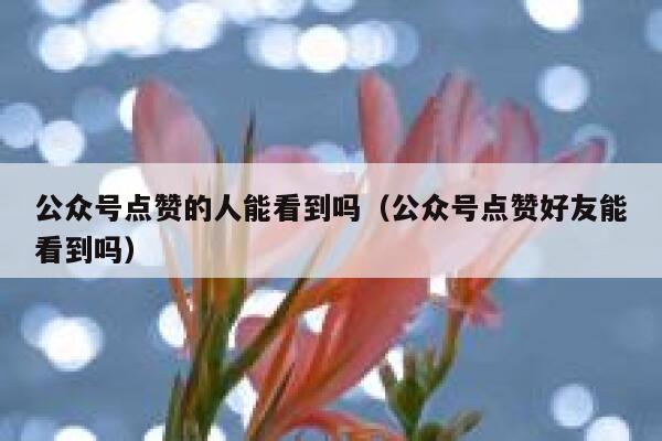 公众号点赞的人能看到吗(公众号点赞好友能看到吗) 第1张 公众号点赞的人能看到吗(公众号点赞好友能看到吗) 第1张