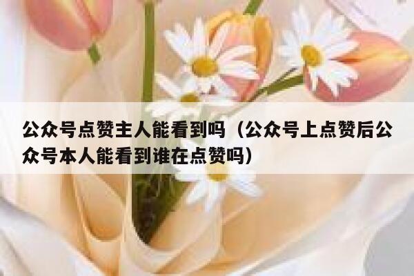 公众号点赞主人能看到吗（公众号上点赞后公众号本人能看到谁在点赞吗） 第1张